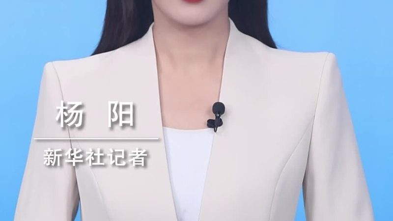 大数据分析方法解析：价格与培训的考量因素